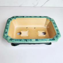 Load image into Gallery viewer, The Leaferie Bonsai Tally Series 7. green rectangular pot.
