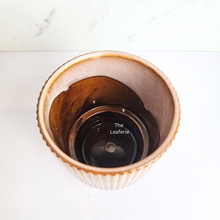 Load image into Gallery viewer, The Leaferie Celine ceramic flowerpot. 2 colours