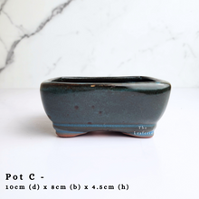 Load image into Gallery viewer, The Leaferie As-Is April 2024 flowerpots