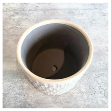 Load image into Gallery viewer, Hugo Ceramic planter with textured design on a gray surface, featuring the brand 'LEAFERIE'.