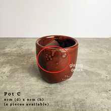 Load image into Gallery viewer, The Leaferie As-is Feb 24. Pot C