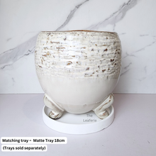 Load image into Gallery viewer, The Leaferie Arnold ceramic pot with legs