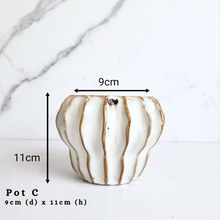 Load image into Gallery viewer, The Leaferie Asi-is Pots Nov and dec 24. 9 items.