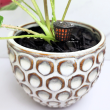 Load image into Gallery viewer, The Leaferie fertiliser pod / basket / box with lid. plastic material