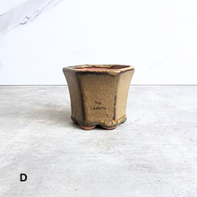 Load image into Gallery viewer, The Leaferie Petit Bonsai pots 76.. Hexagon shape a=with 4 colours.