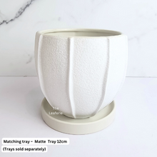 Load image into Gallery viewer, The Leaferie Pearl white ceramic pot