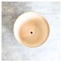 Load image into Gallery viewer, Alina pot Green plant pot with floral pattern on a wooden surface, branded 'LEAFAERIE'.