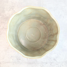 Load image into Gallery viewer, The Leaferie Camila shallow flowerpot . ceramic material.