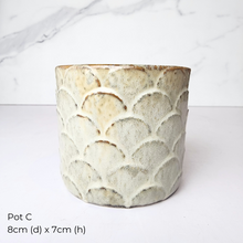 Load image into Gallery viewer, The Leaferie As-Is Pot April 25. 9 items