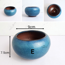 Load image into Gallery viewer, The Leaferie bonsai series 58 blue range 6 designs