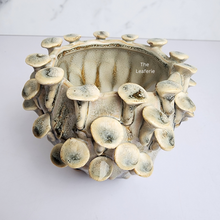 Load image into Gallery viewer, The Leaferie Handmade Moti Flowerpot. ceramic material