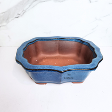 Load image into Gallery viewer, The Leaferie Bonsai flowerpot Series 70 . 2 colours blue and green ceramic material