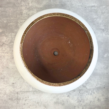 Load image into Gallery viewer, Aura Big Flowerpot