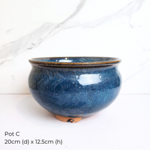 Load image into Gallery viewer, The Leaferie As-is March 25 . 9 items