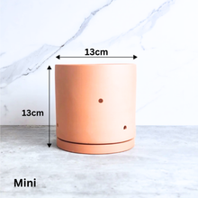Load image into Gallery viewer, Terracotta Flowerpot G with Holes (3 sizes)