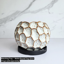 Load image into Gallery viewer, The Leaferie Deion Flowerpot. 2 colours black and white ceramic pot