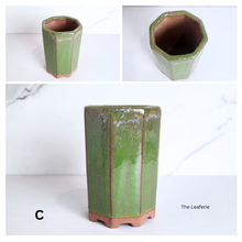 Load image into Gallery viewer, The Leaferie Bonsai Series 80. 4 colours ceramic material