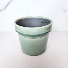 Load image into Gallery viewer, The Leaferie Azza Pot . 3 colours ceramic flowerpot