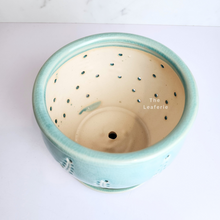 Load image into Gallery viewer, The Leaferie Liane orchid pot with holes and matching tray. ceramic material