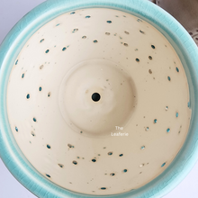 Load image into Gallery viewer, The Leaferie Liane orchid pot with holes and matching tray. ceramic material