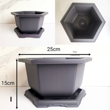 Load image into Gallery viewer, Plastic Bonsai Pots (11 Designs) With Trays