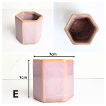 Load image into Gallery viewer, Petit Flowerpots (Series 10)