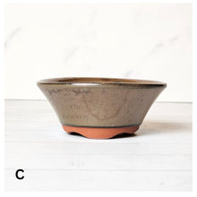 Load image into Gallery viewer, Petit Bonsai Flowerpot (Series 10)