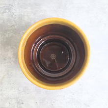 Load image into Gallery viewer, Polie Flowerpot