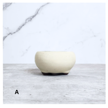 Load image into Gallery viewer, Bonsai Flowerpot (Series 25)