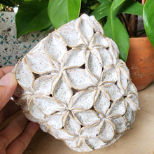 Load image into Gallery viewer, Handmade Bevin Flowerpot