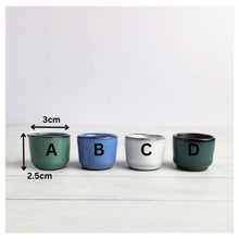 Load image into Gallery viewer, Petit Bonsai Pot (Series 18)