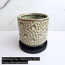 Load image into Gallery viewer, The Leaferie Terra crate ceramic pot with legs