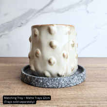 Load image into Gallery viewer, The Leaferie Elpida beige flowerpot with studs. ceramic material