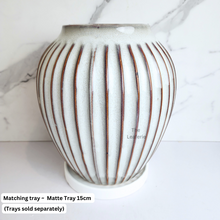 Load image into Gallery viewer, The Leaferie Velde tall flowerpot. ceramic white colour with stripes
