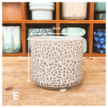 Load image into Gallery viewer, Petit Flowerpots (Series 9)