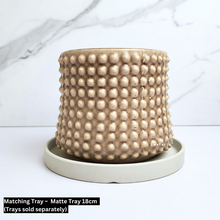 Load image into Gallery viewer, The Leaferie Bronwyn studded beige flowerpot. ceramic material