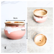 Load image into Gallery viewer, Petit Allegra Flowerpots (Series 3) Pink Pots