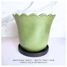 Load image into Gallery viewer, Marrel Green ceramic planter with scalloped edge on a light background, featuring the LEAFERIE brand.