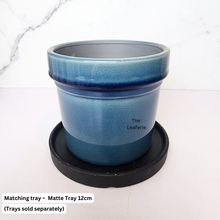 Load image into Gallery viewer, The Leaferie Azza Pot . 3 colours ceramic flowerpot