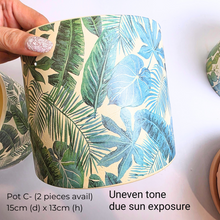 Load image into Gallery viewer, The Leaferie As-is July-aug 25. 9 items