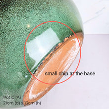 Load image into Gallery viewer, The Leaferie As-is Pot June 2025. 9 items