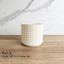 Load image into Gallery viewer, As-Is Batch January 2024 (15 items)