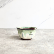 Load image into Gallery viewer, The Leaferie Bonsai 79. Hexagon shape 4 colours ceramic pot