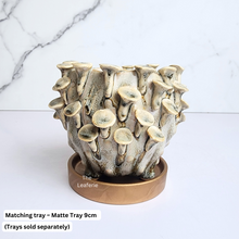 Load image into Gallery viewer, The Leaferie Handmade Moti Flowerpot. ceramic material