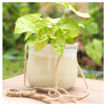 Load image into Gallery viewer, Lyon Hanging Flowerpot (Series 6)
