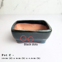 Load image into Gallery viewer, The Leaferie As-Is April 2024 flowerpots