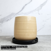 Load image into Gallery viewer, The Leaferie Noa ceramic pot. beige colour