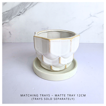 Load image into Gallery viewer, Dove White ceramic planter with gold accents on a light gray background, featuring the Leaferie brand.