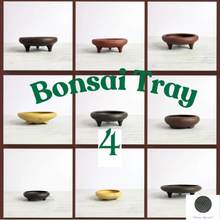 Load image into Gallery viewer, Petit Bonsai Tray / flowerpot (Series 4)