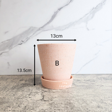 Load image into Gallery viewer, The Leaferie Yael terracotta pot with tray. 3 sizes